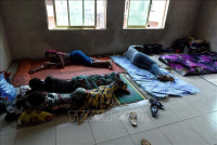 Nigeria: 10 người tử vong do sốt xuất huyết Lassa