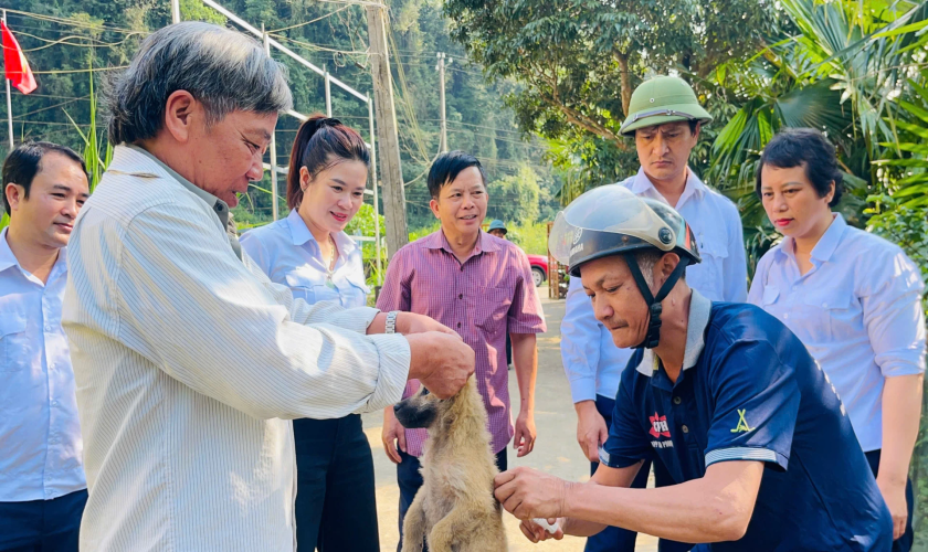 Chủ động phòng chống bệnh dại, bảo vệ sức khỏe cộng đồng