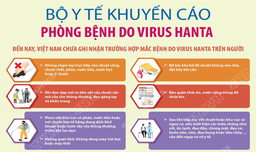 Bộ Y tế khuyến cáo phòng bệnh do virus Hanta