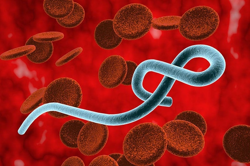 ebola.jpg