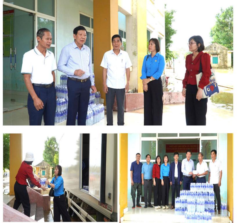 mini_lu_lut_24_taik_le_thuy_sep_hai.jpg