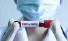 ebola_tl.png