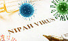 nipah2-.jpg